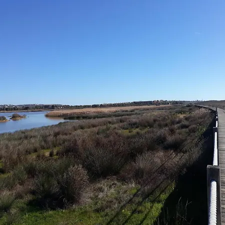 Dreaming Of Algarve 아파트 포르체스