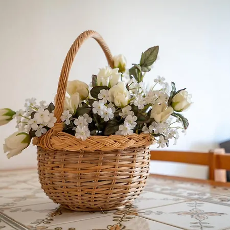 Dreaming Of Algarve 珀彻斯